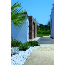 Travertin Beige Format 61x40.6 12 mm