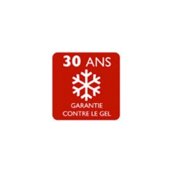 Tuile Canal 40 brun rustique
