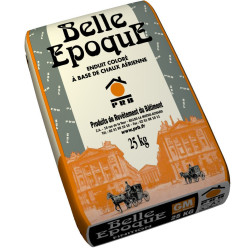 Enduit de parement BELLE EPOQUE Finition jaune Touraine sac 25kg