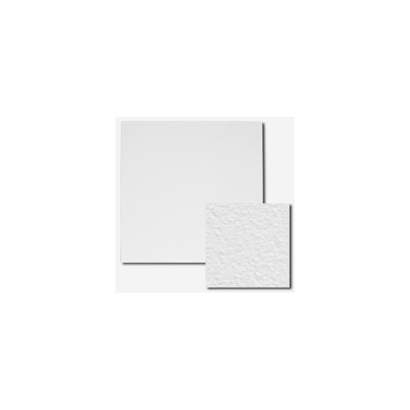 Dalle gamme LIGHT - CAPRIS A24L light - 60x60x1,5 cm