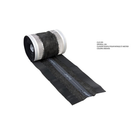 Closoir DRYROLL 295 - 1 ml