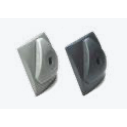 copy of