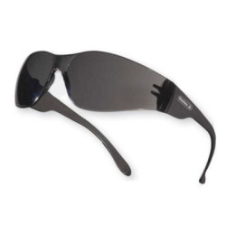 LUNETTES BRAVA2 FUME