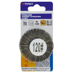 ROUE A LAMELLES ABRASIVESALO WHEEL DIAM60x30 G120   BLI TY