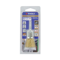 brosse pinceau technic DIAM24 MM fIl acier LAITON 0,30 HEXAT2012 END BRUSH LT BLI TY