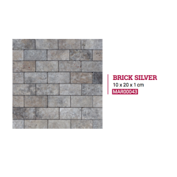 GAMME BRICK 10 x 20 x 1 cm...