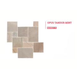 TANDUR MINT (Multicolor)...