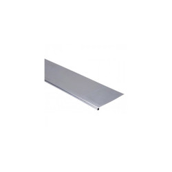 Bande de rive - Doublis  250 mm - lg. 2 ml, zinc
