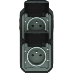Prise de courant étanche - Plexo - Complet - Legrand - 2 x 2P+T - 16 A - Anthracite - IP55 - Verticale