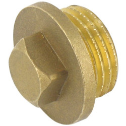 Bouchon mâle - Capvert - Laiton - 1Pc - Filetage mâle : 3/4" (20 x 27)