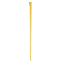 Manche bois emmanchure ovale conique Cap Vert - Ovale 51 x 32 mm - Longueur 0,9 m - Manche de : Masse