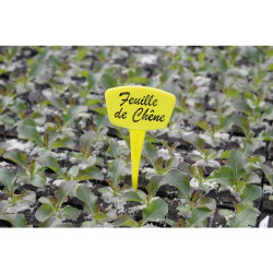Étiquettes à planter - 15 cm - Couleur : Jaune