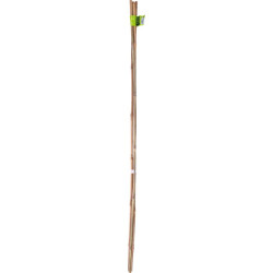 Tuteur en bambou naturel Nortene - 0.6m