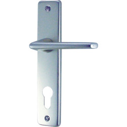 Poignée de porte - Gets - Dt 2000 - Gris argent - 165 mm - Fonction de la plaque : Clé I européen