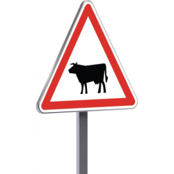 A15a2 700 C1 passage d'animaux domestiques