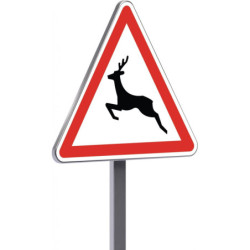A15b 1000 C1 passage d'animaux sauvages