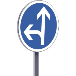 B21d2 450 C1 direction obligatoire tout droit ou à gauche