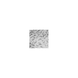 CHAINE PLASTIQUE BLANCHE Nø8 (ML)