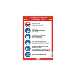 LES 5 GESTES BARRIERES (COVID-19)