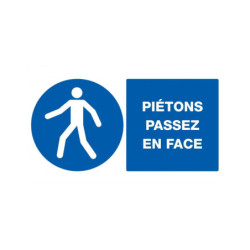 PIETONS PASSEZ EN FACE 330x200mm