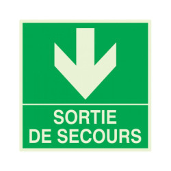 SORTIE DE SECOURS EN BAS LUMINESCENT 200x200mm