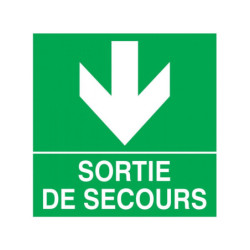 SORTIE DE SECOURS FLECHE EN...