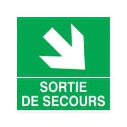 SORTIE DE SECOURS FLECHE EN...
