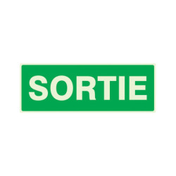 SORTIE LUMINESCENT 330x200mm
