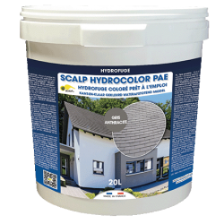 SCALP HYDROCOLOR PAE gris...