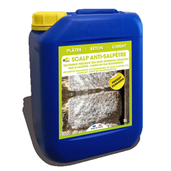 SCALP ANTI SALPETRE - ANTI...