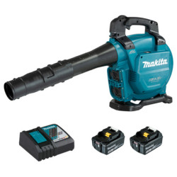 Aspirateur broyeur | Souffleur XPT ® - 36 V Li-Ion