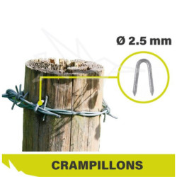 ACCESSOIRES - Crampillons...