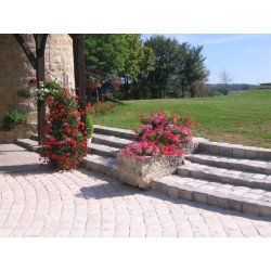 PAVE BORDELAIS